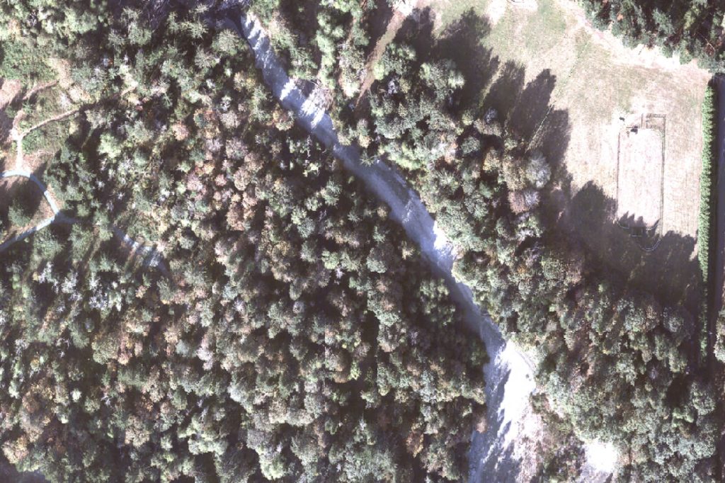 Forest inventory - Kîsik Geospatial & Aerial Survey